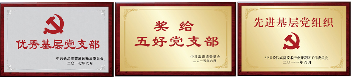 湖南望城縣雷鋒汽車運輸有限公司,長沙城市交通,校車運營,安保服務,新能源科技