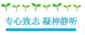 湖南望城縣雷鋒汽車運輸有限公司,長沙城市交通,校車運營,安保服務,新能源科技