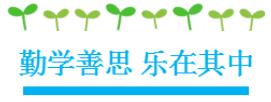 湖南望城縣雷鋒汽車運輸有限公司,長沙城市交通,校車運營,安保服務,新能源科技